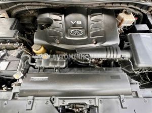 Xe Infiniti QX80 80 5.6 AWD 2016